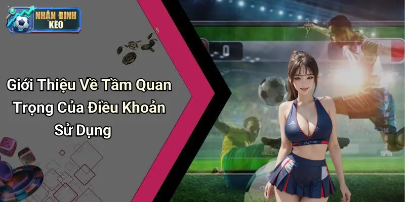 Giới Thiệu Về Tầm Quan Trọng Của Điều Khoản Sử Dụng
