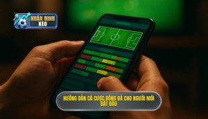 Hướng dẫn cá cược bóng đá cho người mới bắt đầu