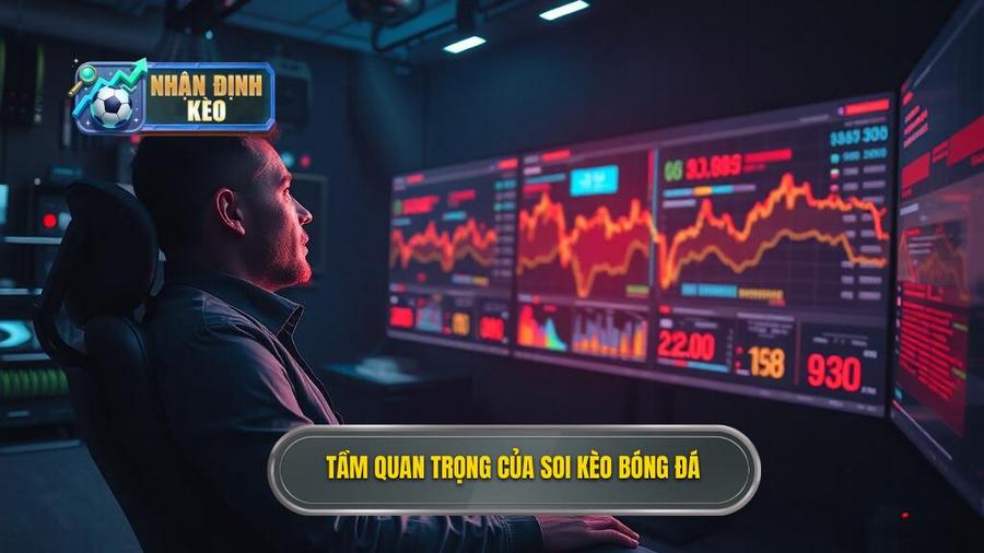 3. Tầm quan trọng của soi kèo bóng đá