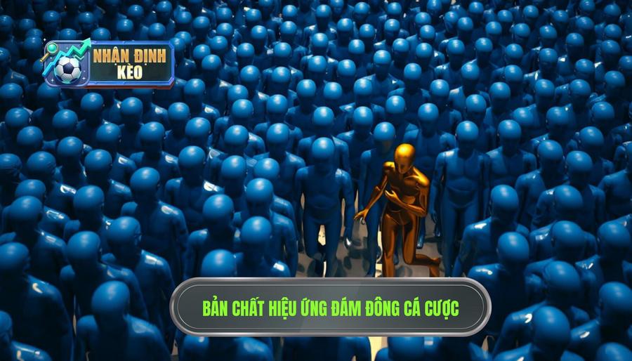 Hiểu bản chất của hiệu ứng đám đông trong cá cược