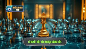 Kinh Nghiệm Bắt Kèo Ngược Đám Đông: Bí Quyết Thắng Lớn Từ Chuyên Gia