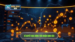 Cách Đọc Dòng Tiền Cá Cược: Bí Quyết Soi Kèo Thắng Lớn 2024