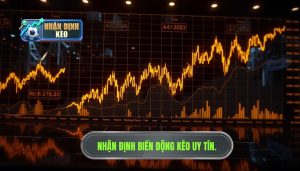 Nhận định biến động kèo